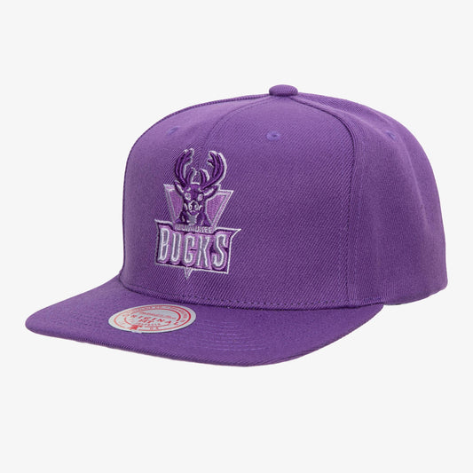 Mitchell & Ness Men's NBA Monochromatic Snapback Hwc Bucks Snapback Caps