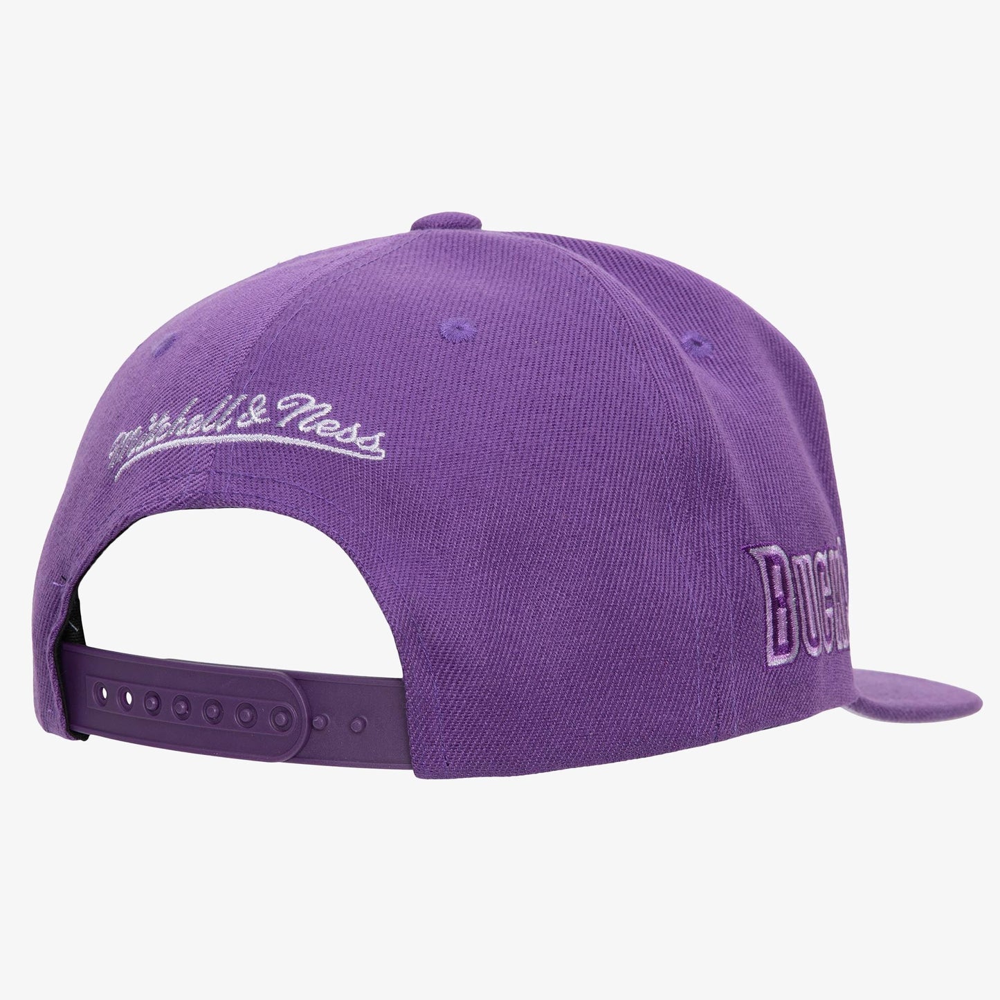 Men's Mitchell & Ness NBA Monochromatic Snapback Hwc Bucks - Purple