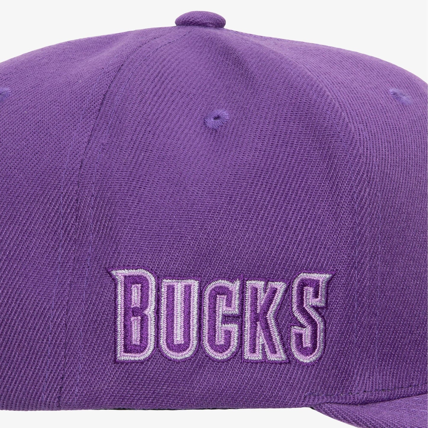 Men's Mitchell & Ness NBA Monochromatic Snapback Hwc Bucks - Purple