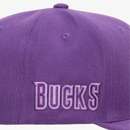 Mitchell & Ness Men's NBA Monochromatic Snapback Hwc Bucks Snapback Caps