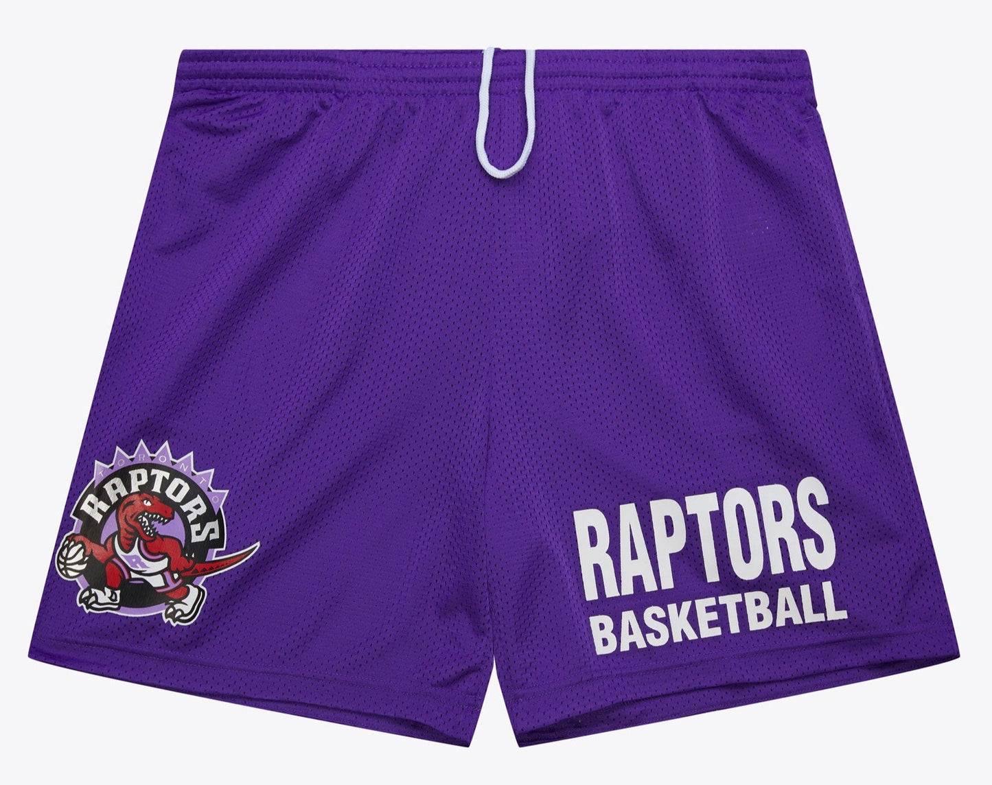 Mitchell & Ness Men's NBA Gameday Mesh 7In Shorts Vintage Logo Raptors