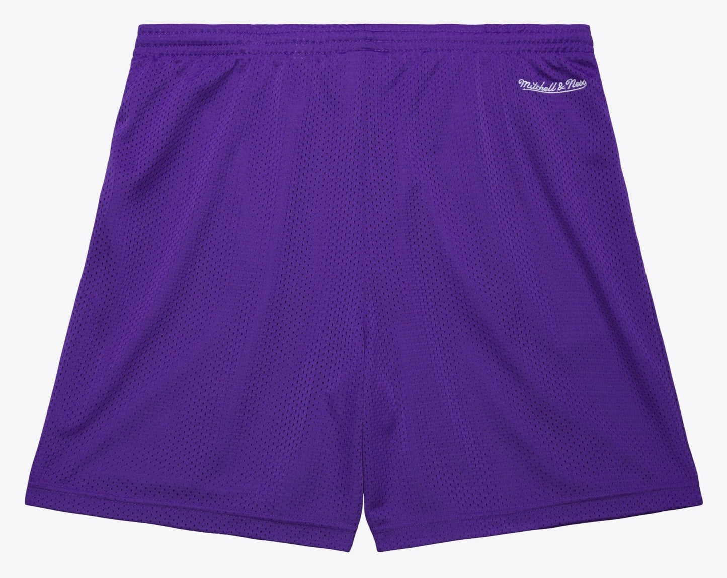 Mitchell & Ness Men's NBA Gameday Mesh 7In Shorts Vintage Logo Raptors