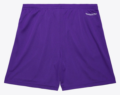 Mitchell & Ness Men's NBA Gameday Mesh 7In Shorts Vintage Logo Raptors