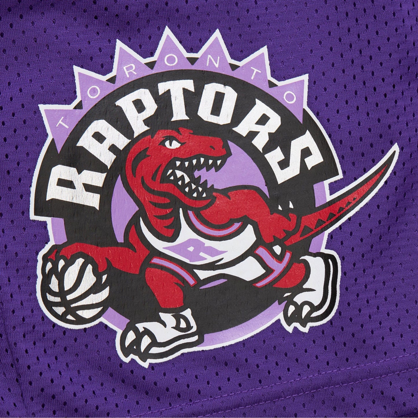 Mitchell & Ness Men's NBA Gameday Mesh 7In Shorts Vintage Logo Raptors