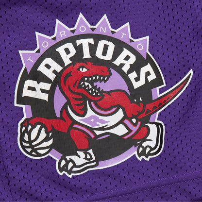 Mitchell & Ness Men's NBA Gameday Mesh 7In Shorts Vintage Logo Raptors