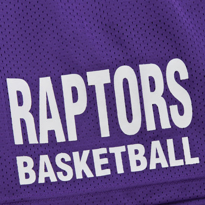 Mitchell & Ness Men's NBA Gameday Mesh 7In Shorts Vintage Logo Raptors