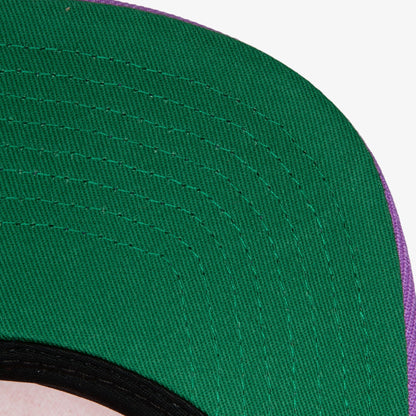 Mitchell & Ness Men's NBA Sharktooth Snapback Hwc Raptors