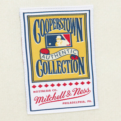 Mitchell & Ness Men's MLB Cream Jersey Phillies 1948 Richie Ashburn Jerseys