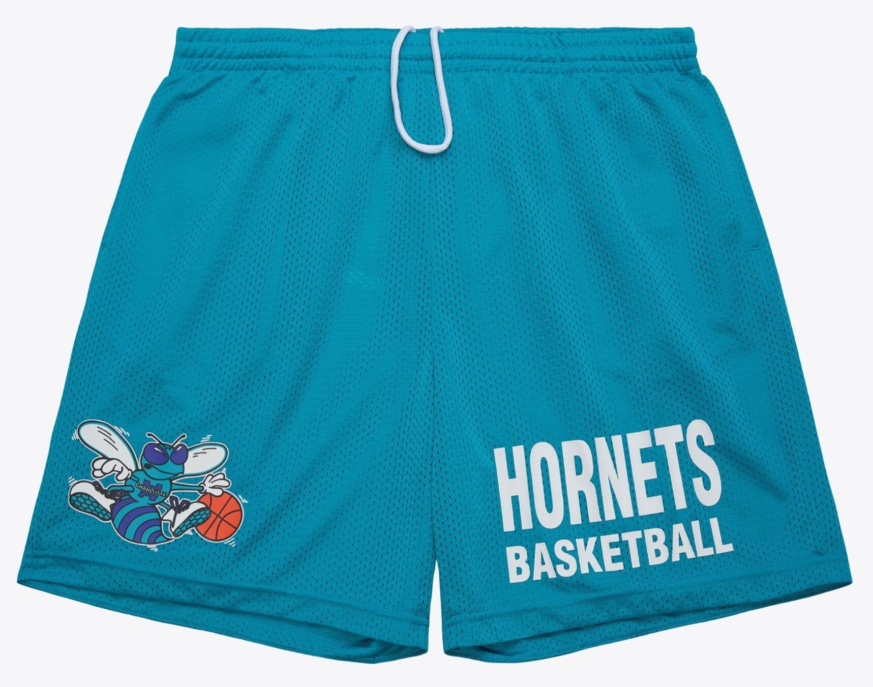 Hornets Blue-