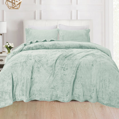 Elegant Comfort 4-Piece Velvet Plush Flannel Sheet Set