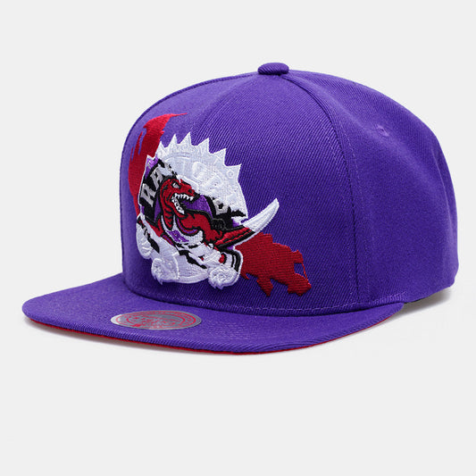 Men's Mitchell & Ness NBA Paint By Number Snapback Hwc Raptors - Purple