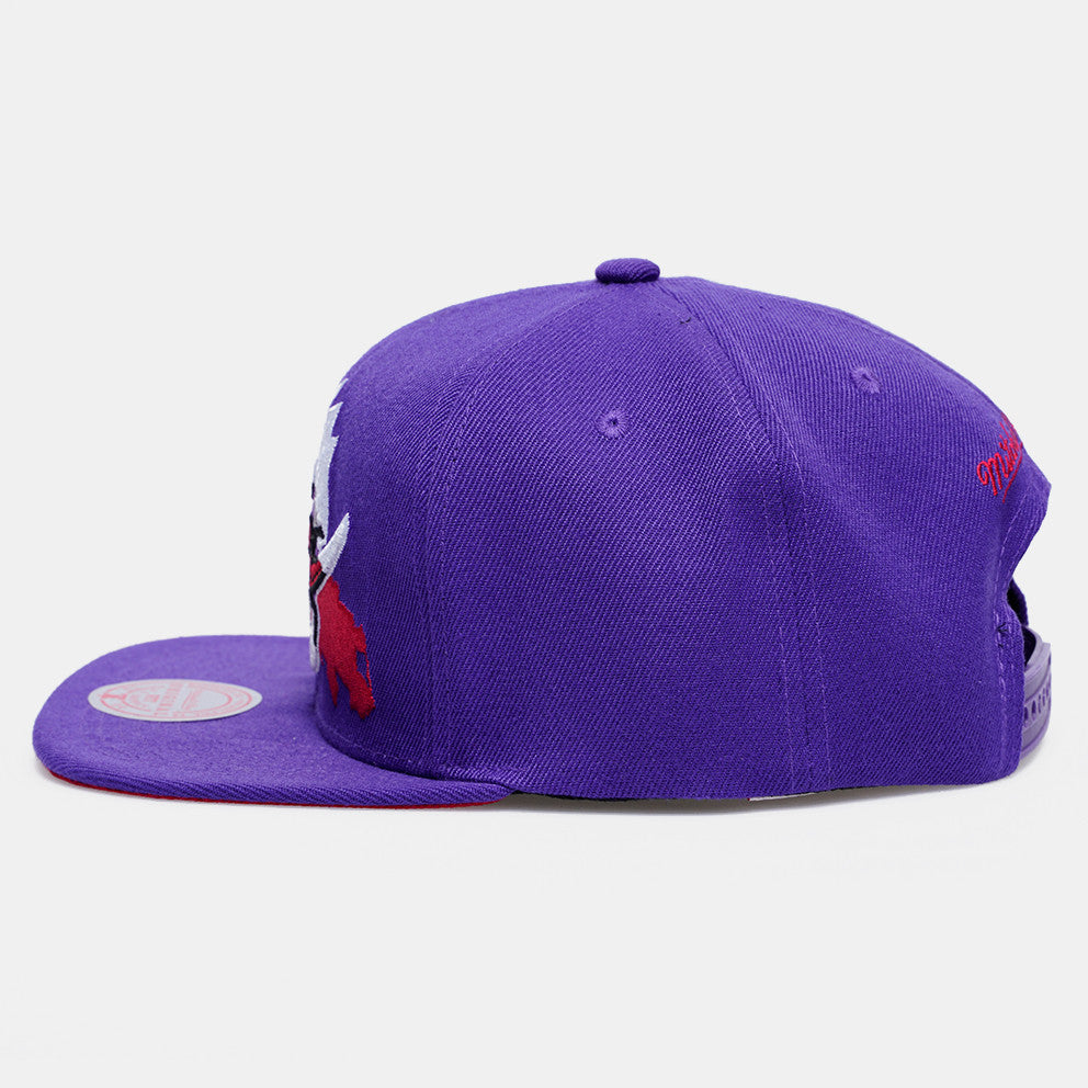 Men's Mitchell & Ness NBA Paint By Number Snapback Hwc Raptors - Purple