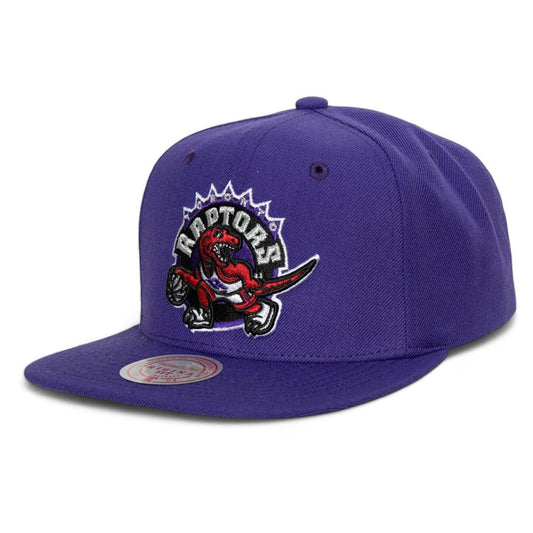 Men's Mitchell & Ness NBA Team Ground 2.0 Snapback Hwc Raptors - Purple