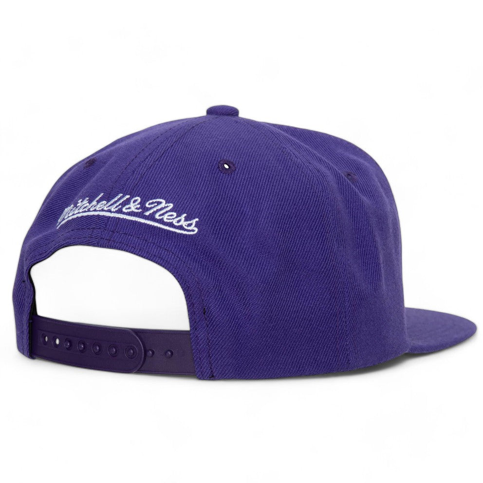 Men's Mitchell & Ness NBA Team Ground 2.0 Snapback Hwc Raptors - Purple