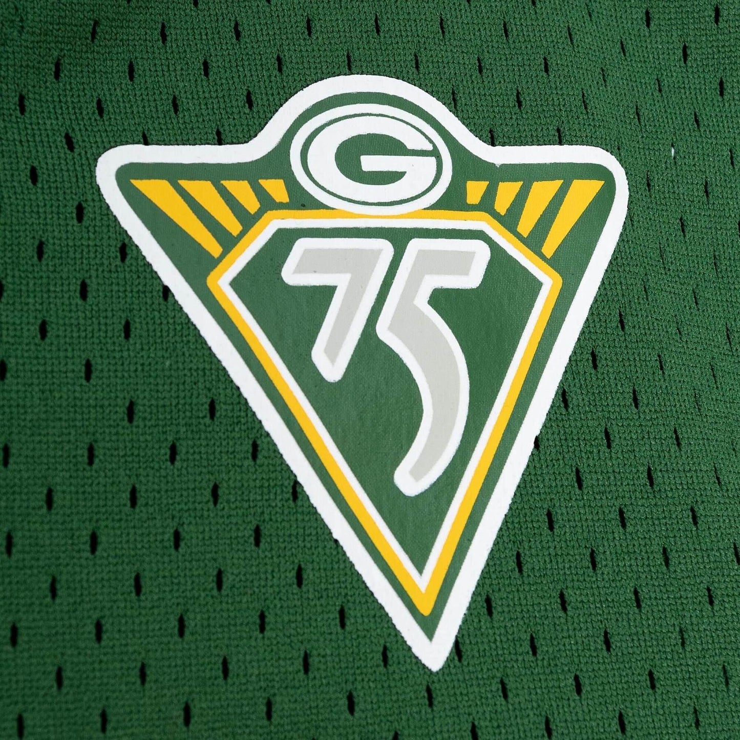 Mitchell & Ness Men's NFL N&N Mesh Crewneck Packers 1994 Reggie White Jerseys