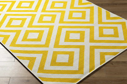 Maven Outdoor Area Rug