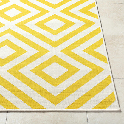 Maven Outdoor Area Rug