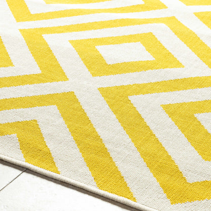 Maven Outdoor Area Rug