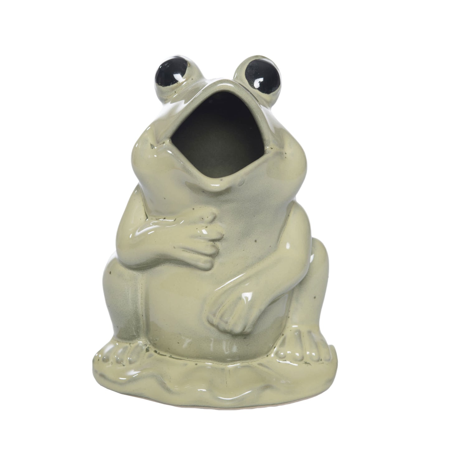 Ceramic Frog Pitcher Green for Spring Serving and Entertaining