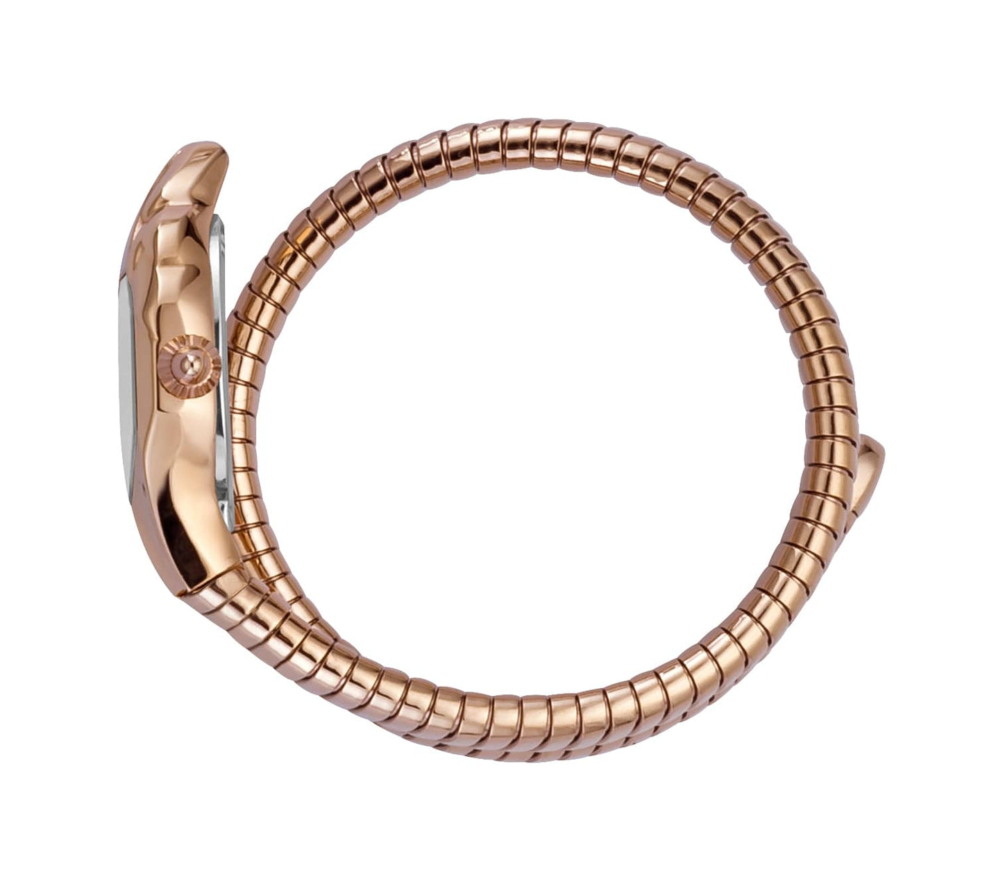 Just CAVALLI Women Watch, Rose Gold Color Case, Silver Dial, Rose Gold Color Stainless Steel Metal Bracelet, 2 Hands, 3 Atm