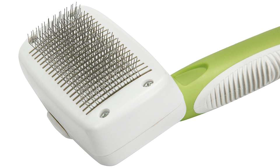 Green-