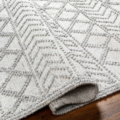 Meng Area Rug - Clearance