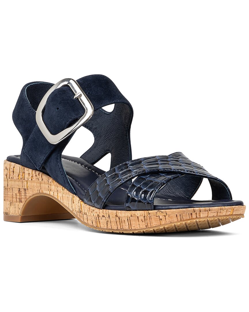 NAVY-