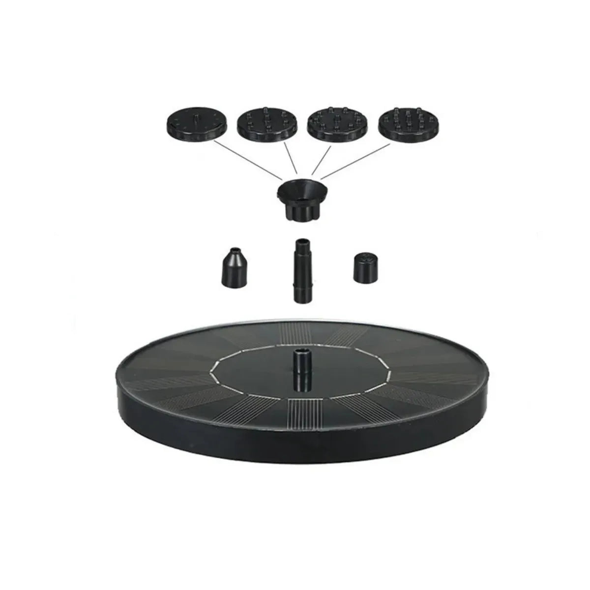 Black-