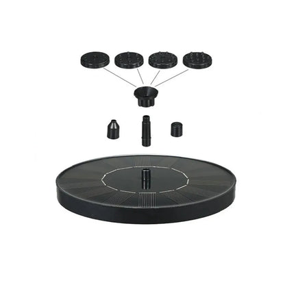 Black-
