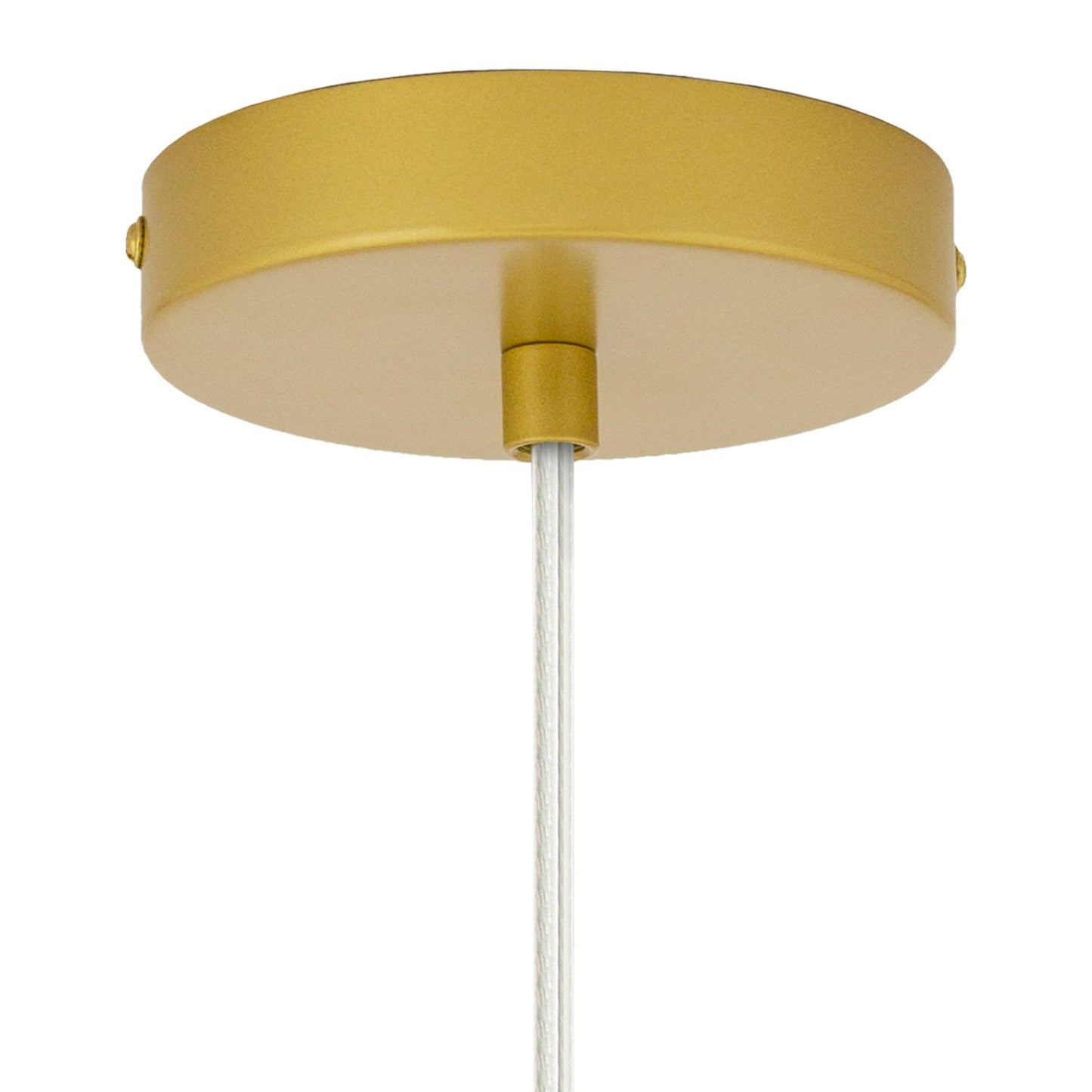 Gold/White-