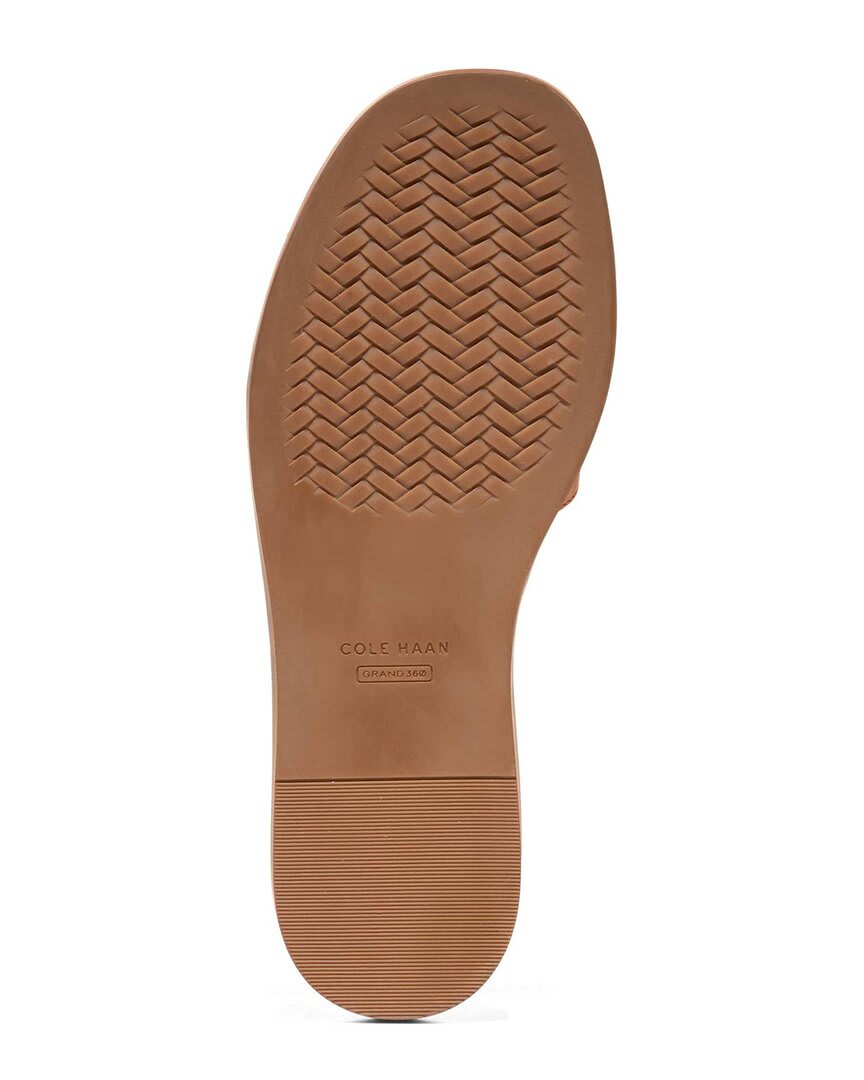 CH POWDER SMOOTH / CROC PRINT-