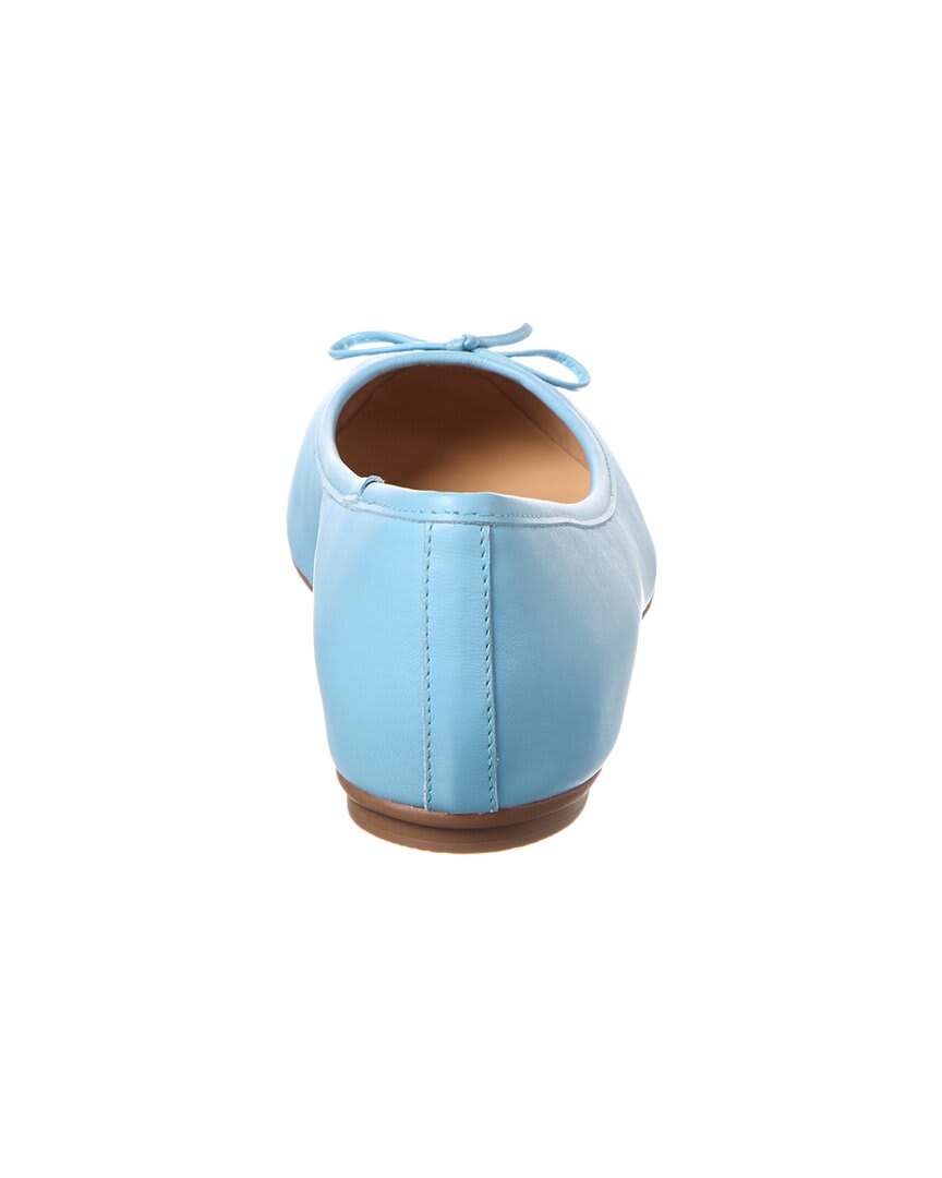 Cornflower Blue-