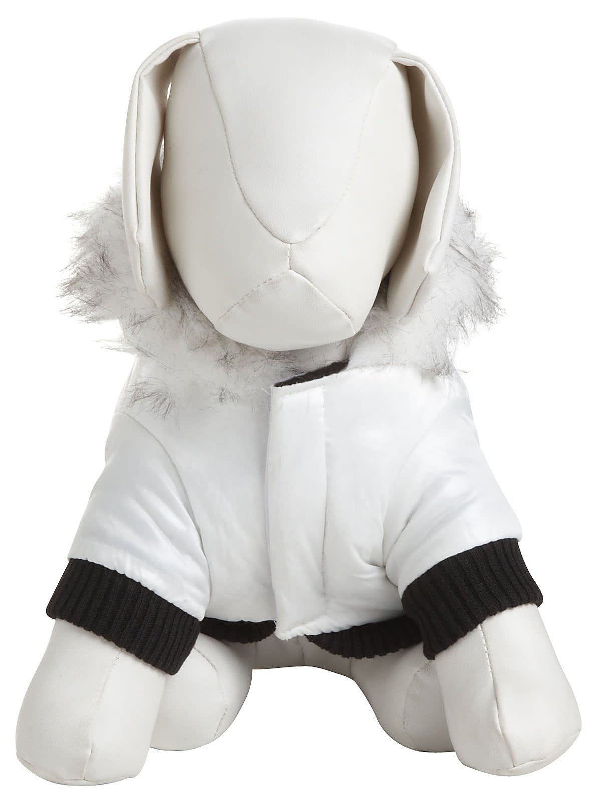 Winter White-