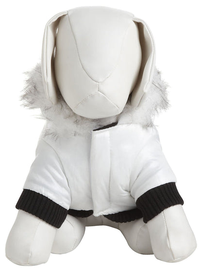 Winter White-