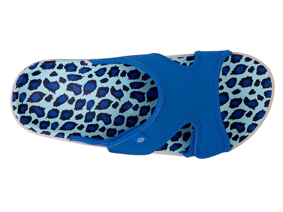 BLUE LEOPARD -
