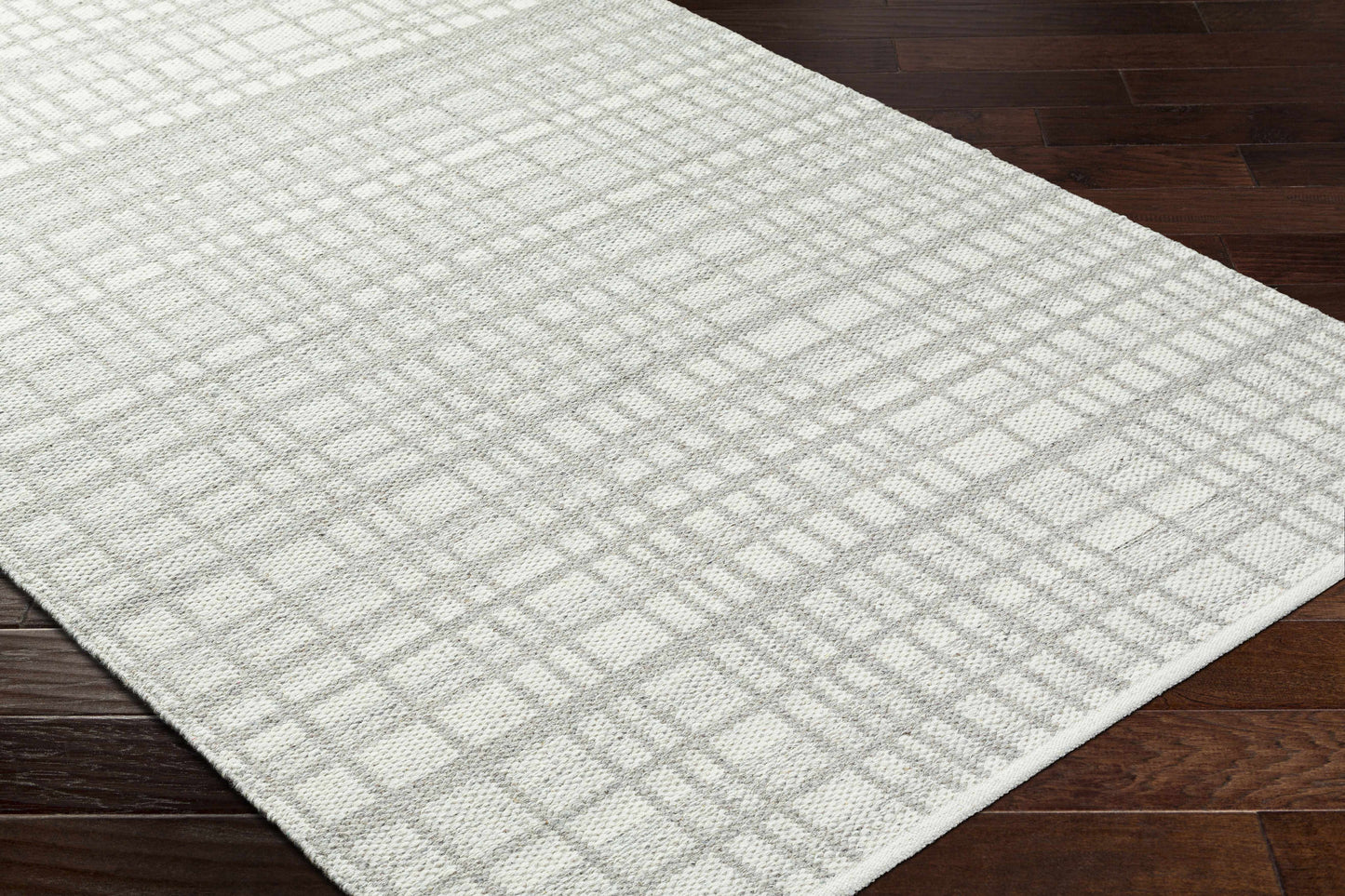 Nissa Light Gray Area Rug