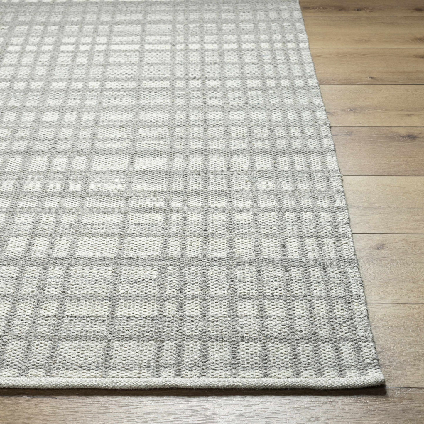 Nissa Light Gray Area Rug