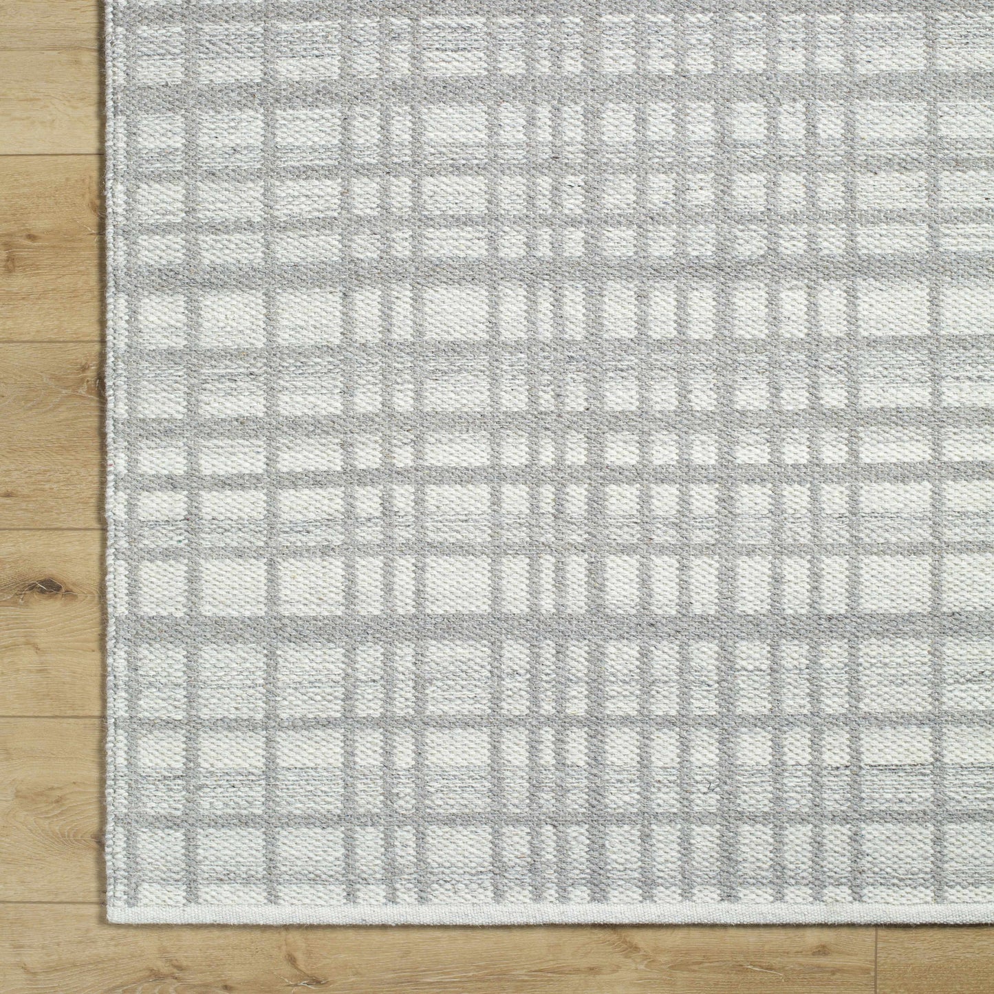 Nissa Light Gray Area Rug