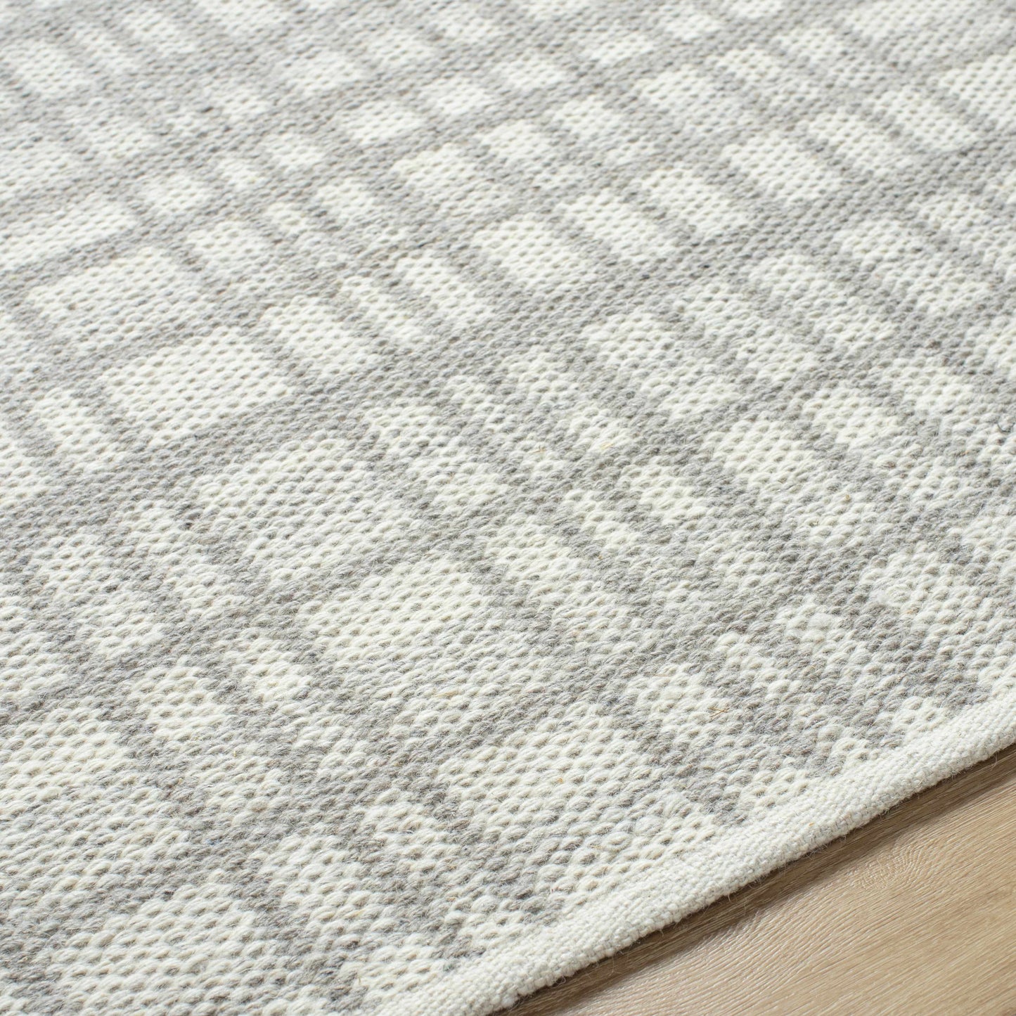 Nissa Light Gray Area Rug