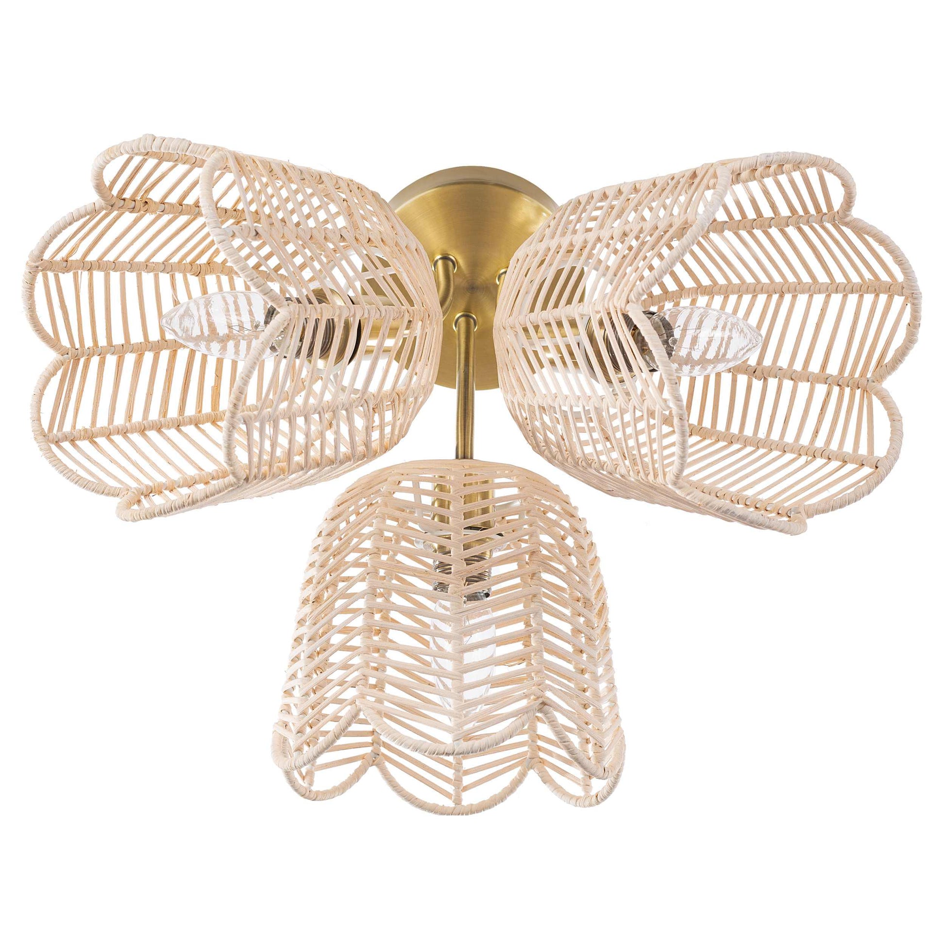White/Gold-