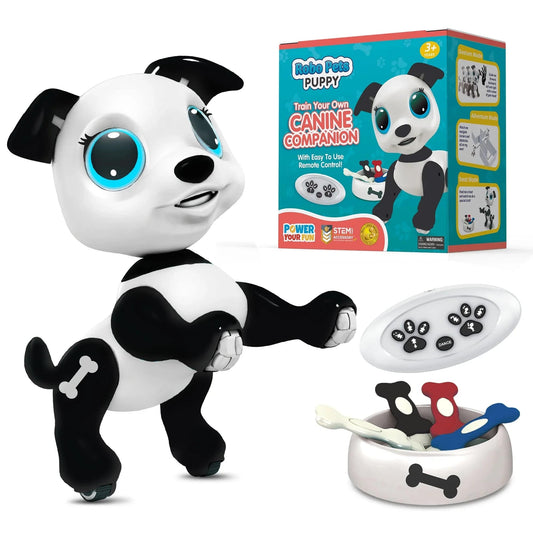 Black and white robot dog, white remoted, black, red, blue and gray food-
