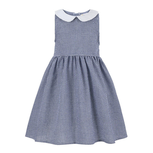 Blue Gingham Peter Pan Collar Sleeveless A-Line Dress Blue / 10 Blue Gingham Peter Pan Collar Sleeveless A-Line Dress Blue / 10