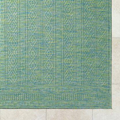 Nuela Green Outdoor Area Rug