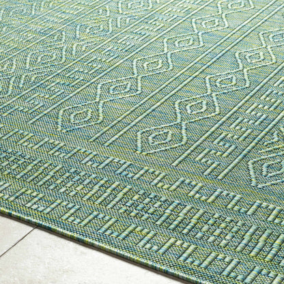 Nuela Green Outdoor Area Rug