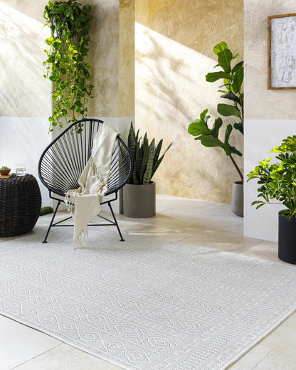 Nuela Light Gray Outdoor Area Rug