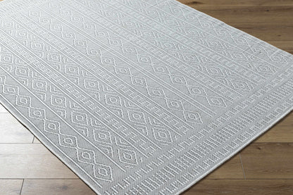 Nuela Light Gray Outdoor Area Rug