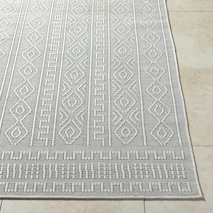 Nuela Light Gray Outdoor Area Rug