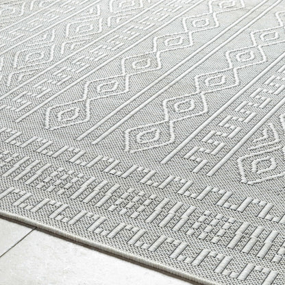 Nuela Light Gray Outdoor Area Rug