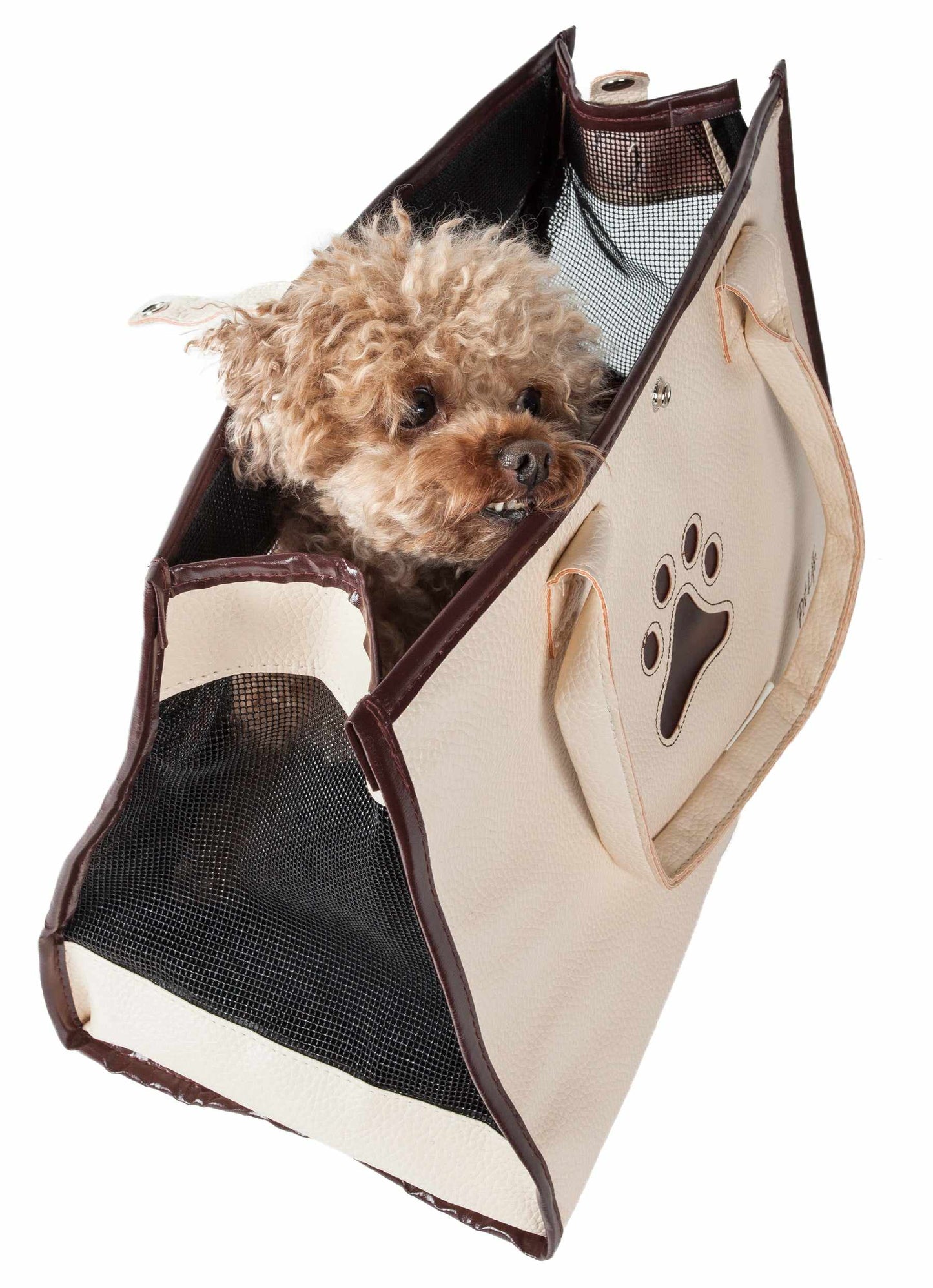 White & Brown-