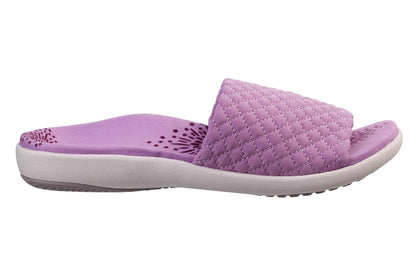 Lavender-